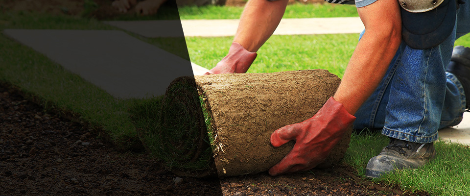 Union City Landscapers
